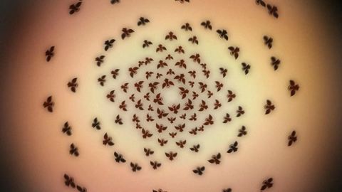 Image from 'A swarm of angels' website